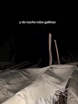 robo gallinas 