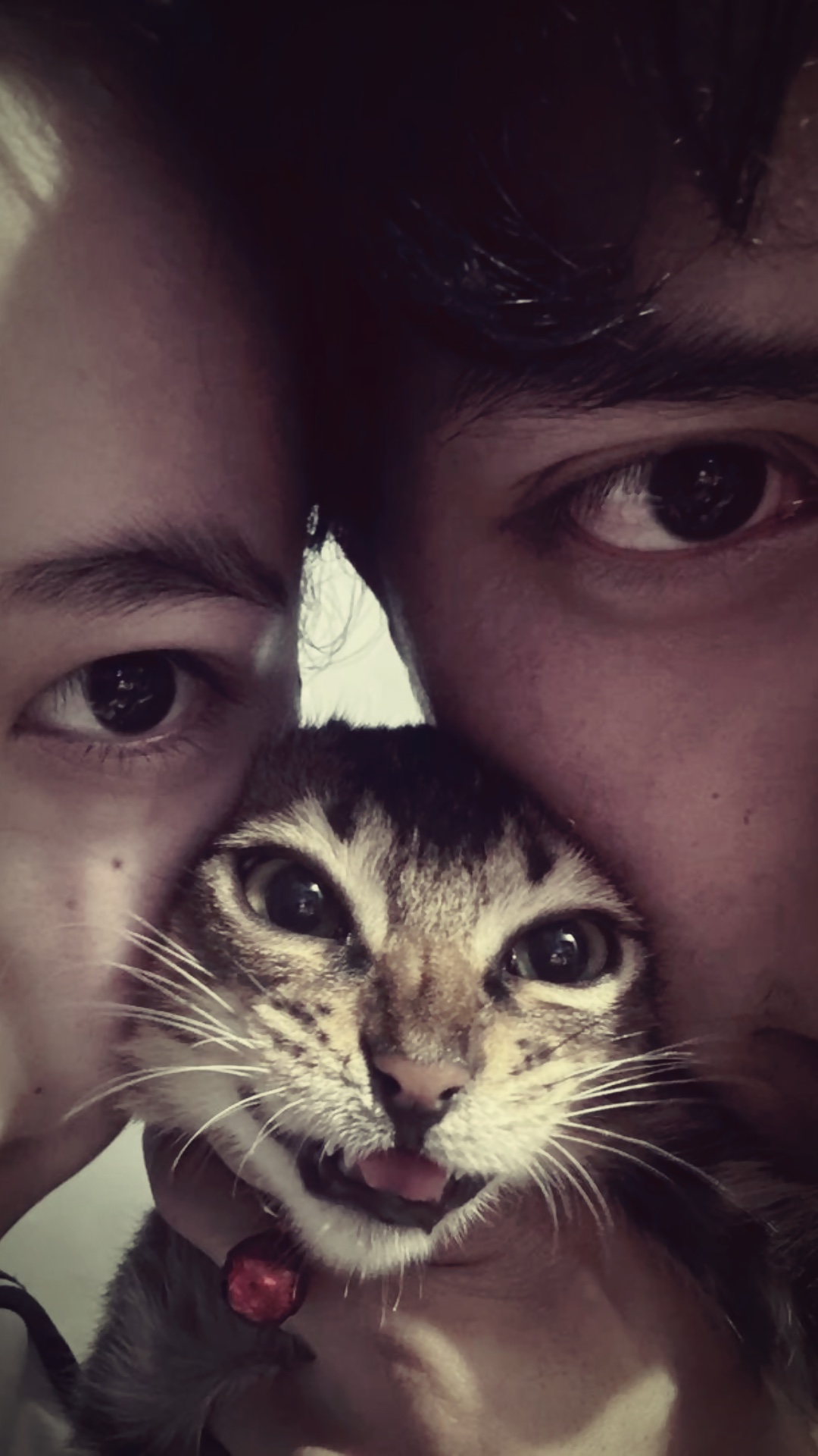Cover Picture
