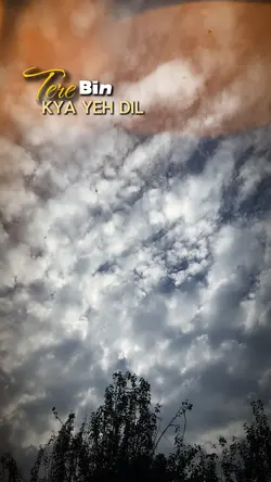 Tere bin kya yeh dil