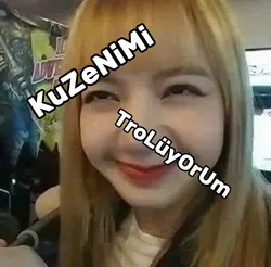 kuzenimi trolüyorum