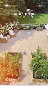 Dans le jardin