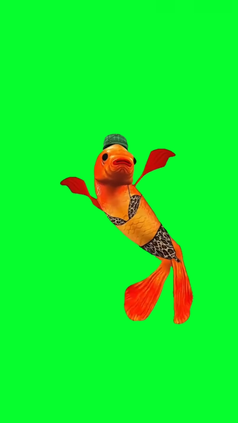 fish dancing