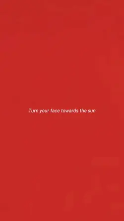 fall in love x show