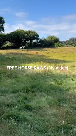 FREE VIDEOS