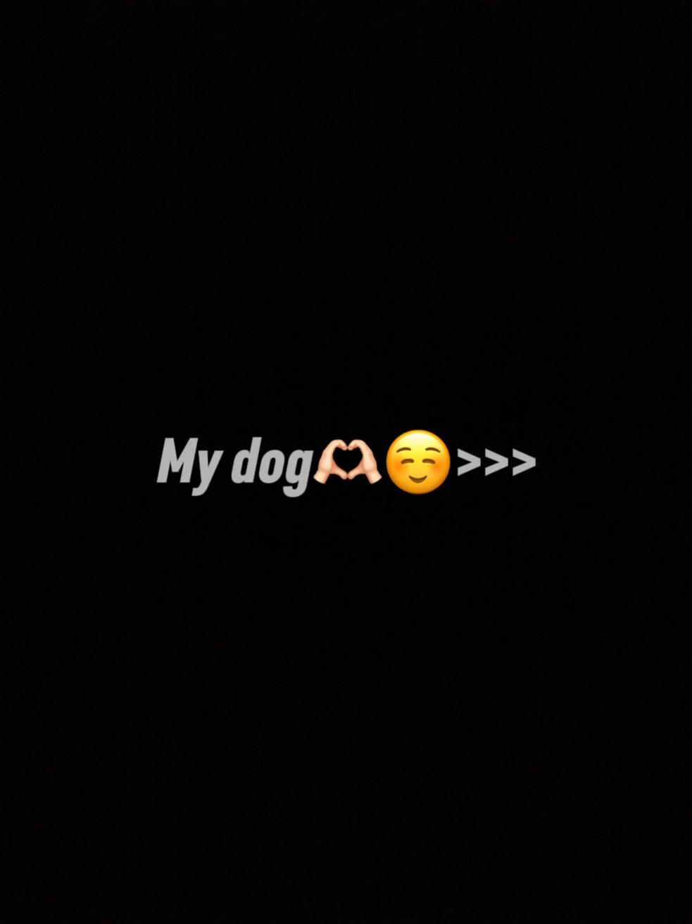 Ang aking aso < 3