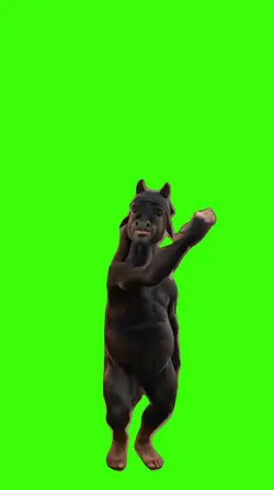 Horse/Cavalo.