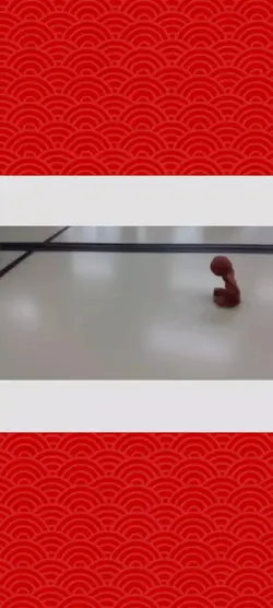 스톱모션