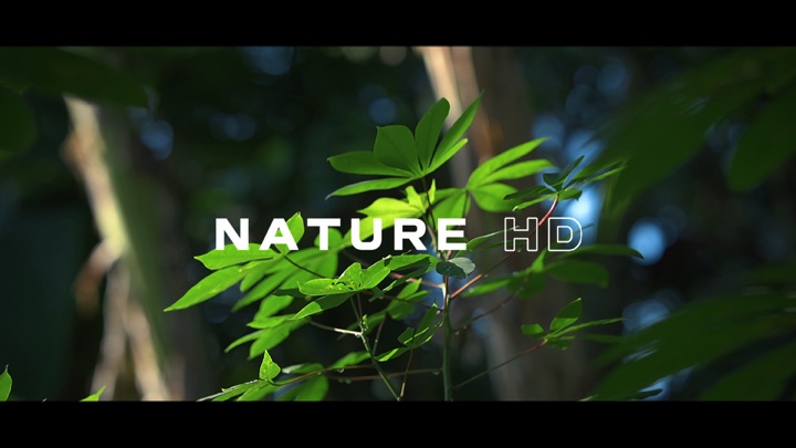 Naturaleza HD 4 Klip