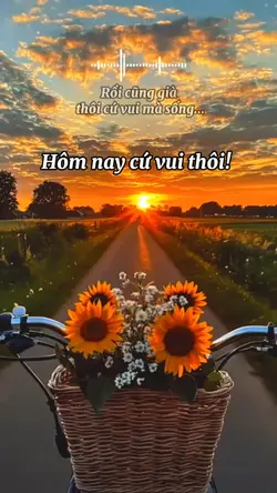 beat 3 ảnh nhạc hot