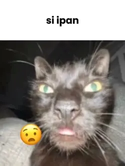 si ipan kepentok