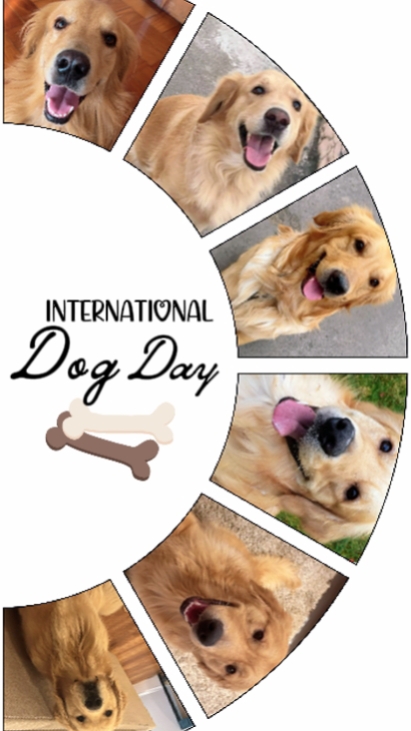 INTERNATIONAL DOG DY