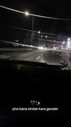 Yeni şablon