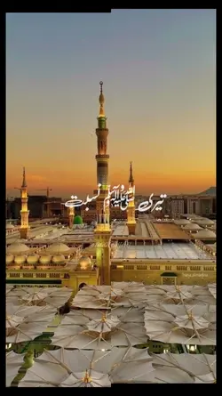 teri nisbat NFAK