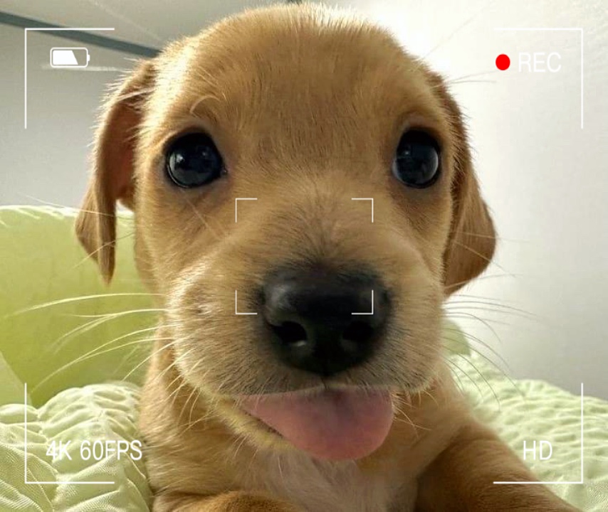 Cute