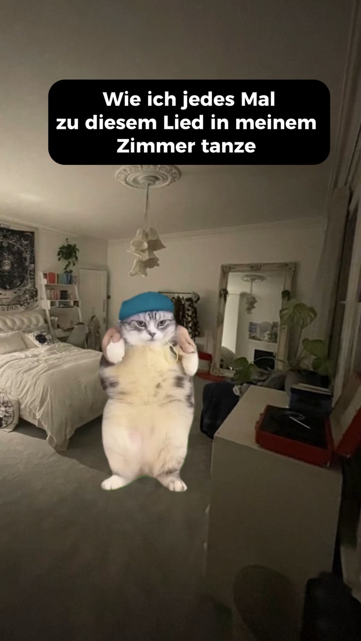 Tanzende Katze Meme