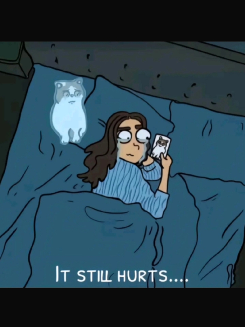 Extraño a mi gato