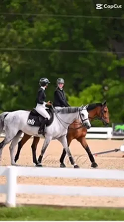 Rythm of Horses