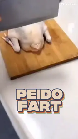 PEIDO - FART - VIRAL