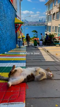 one day in june 