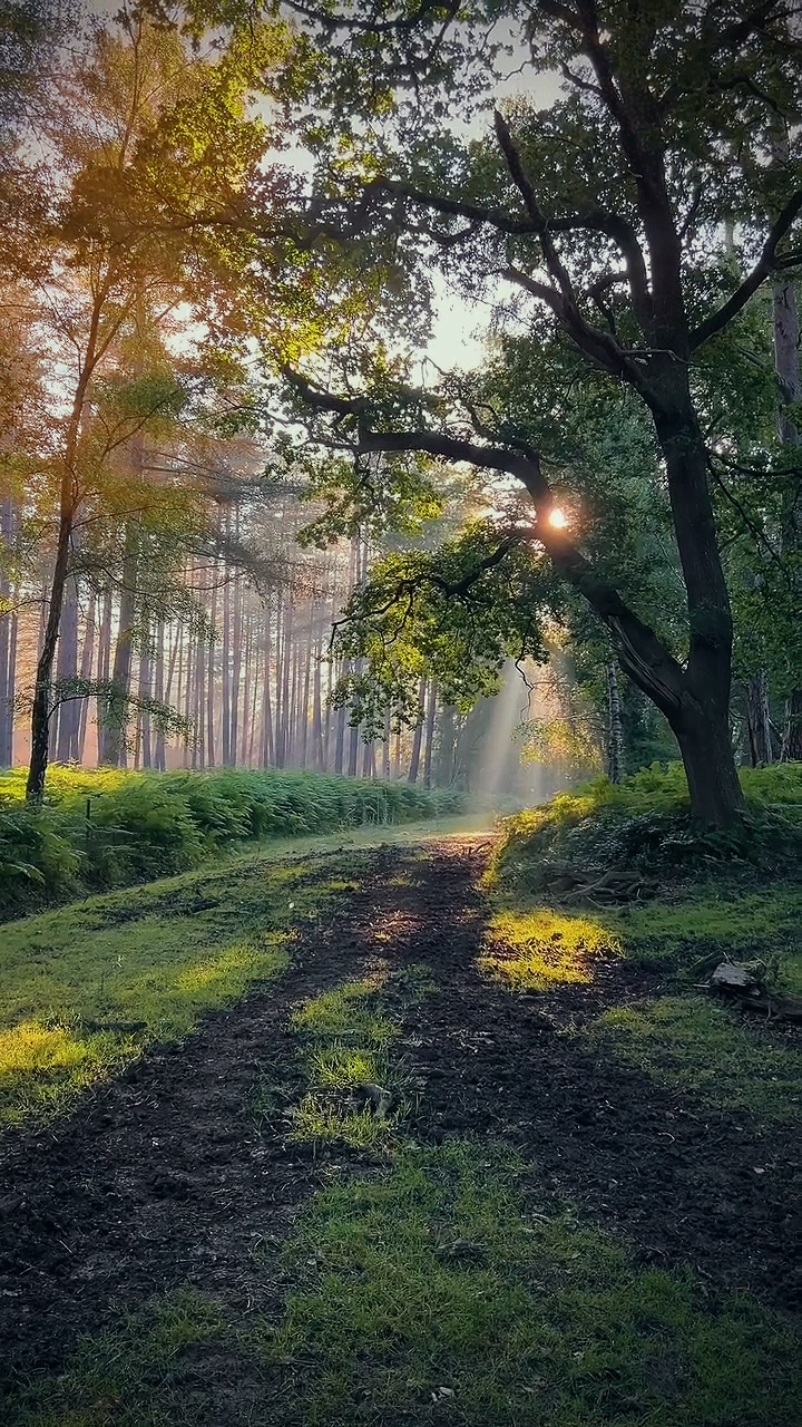 Doğa titreşimleri