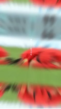 コートに描く夢　歌詞動画