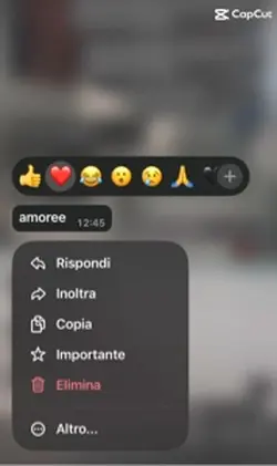 fidanzati