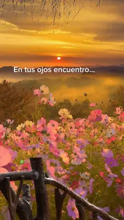 San Valentin