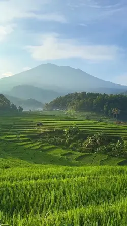view aesthetic