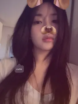 filter cute dog
