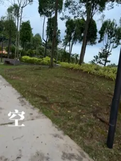 還給你一些孤單·字幕碎片🧩