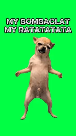 MY BOMBACLAT RATATA