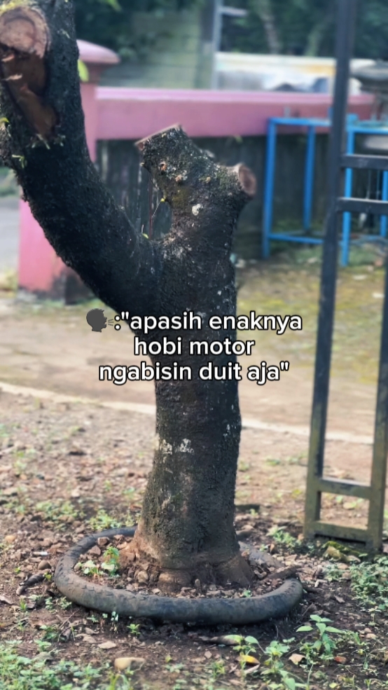 3 KLIP BAHAN TREND