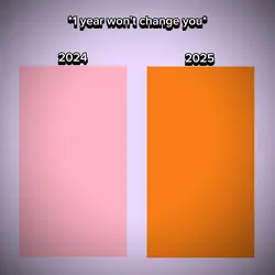 2024 vs 2025