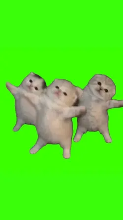 Three Cats Dancing