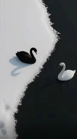 Live wallpaper