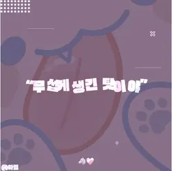 [ 늑대의 숲 ]