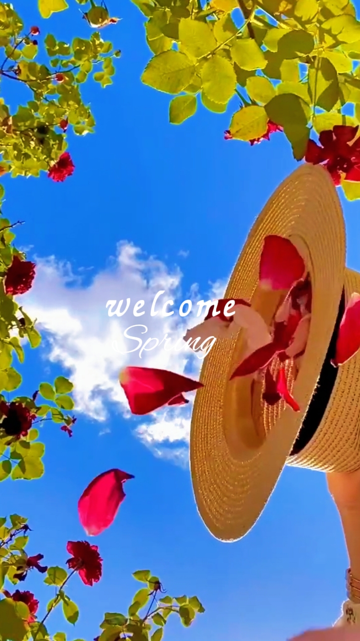 Bienvenido a la primavera