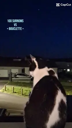 bouclette