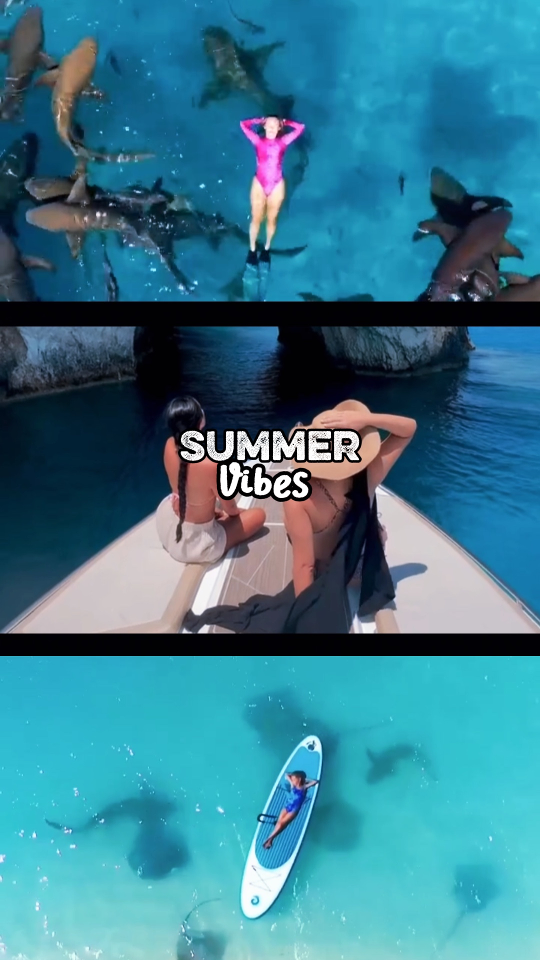 Vibrações De Verão