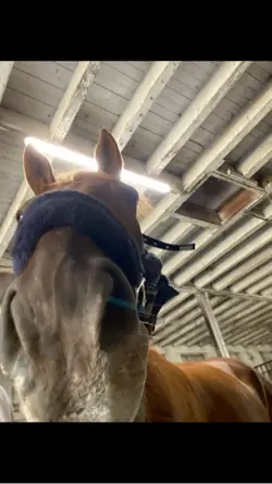 Pour l’éternité !