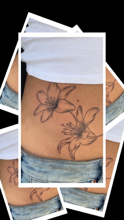 Cover Picture