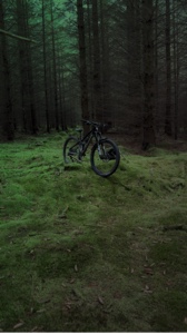 Bike/car edit