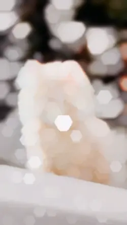 super slomo template