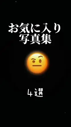 お気に入り写真集4つ