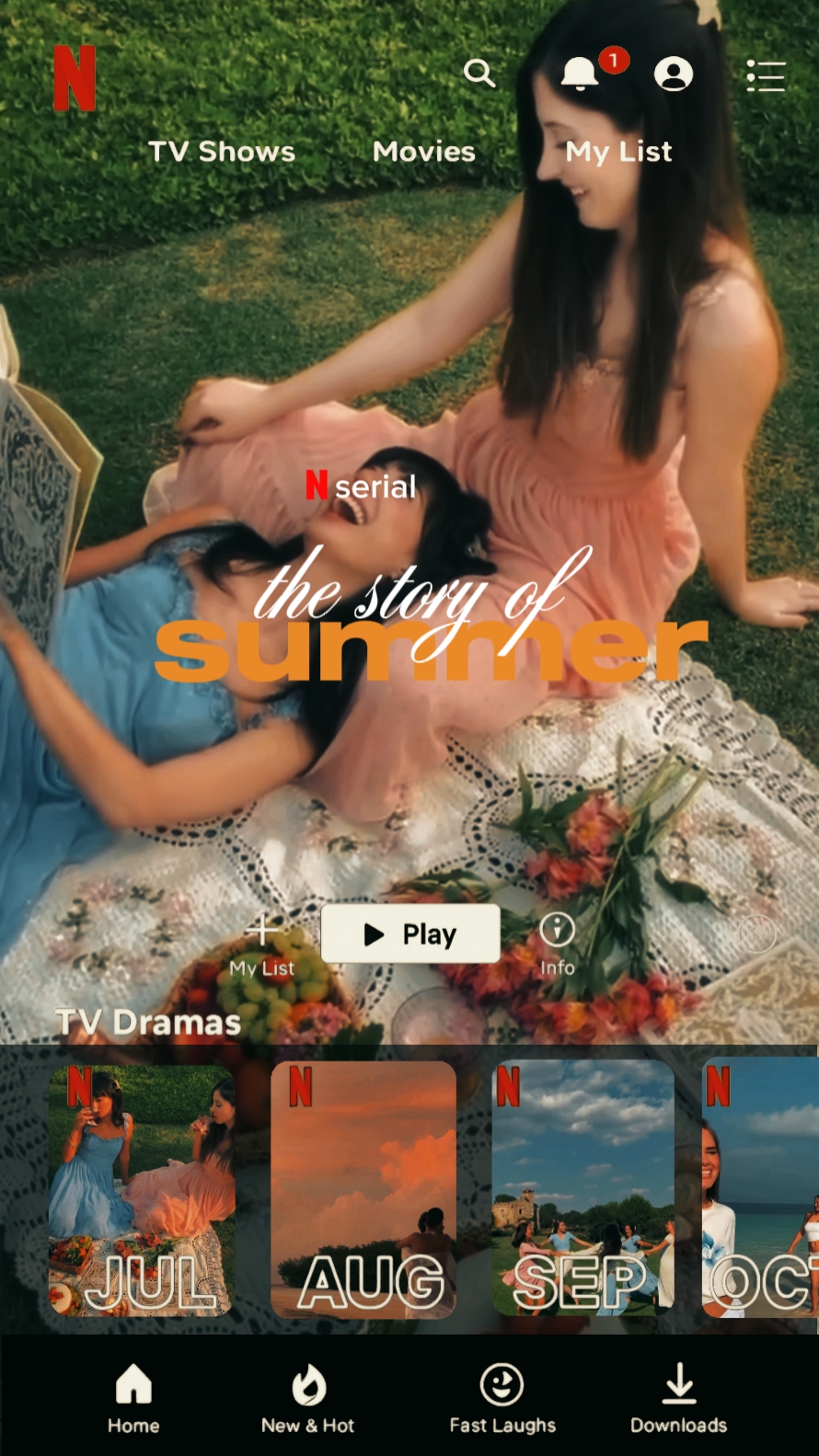 Netflix story summer