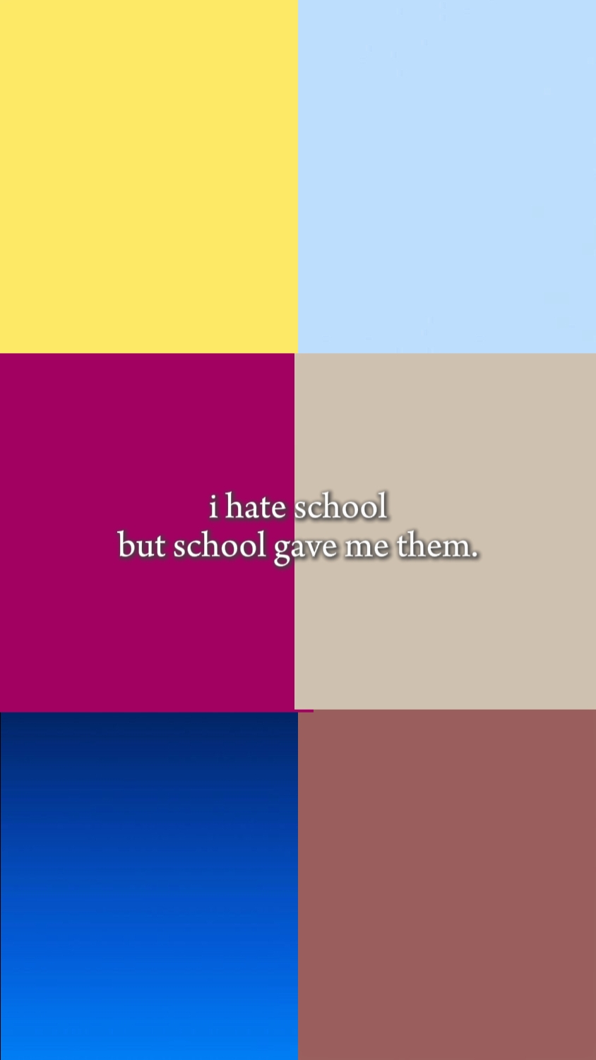 Die Schule gab mir die