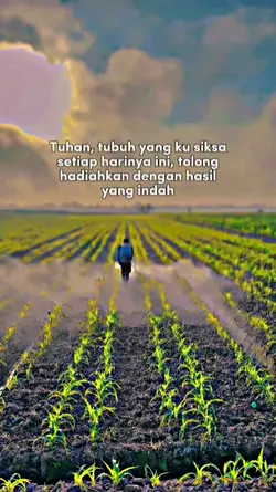 bahansw