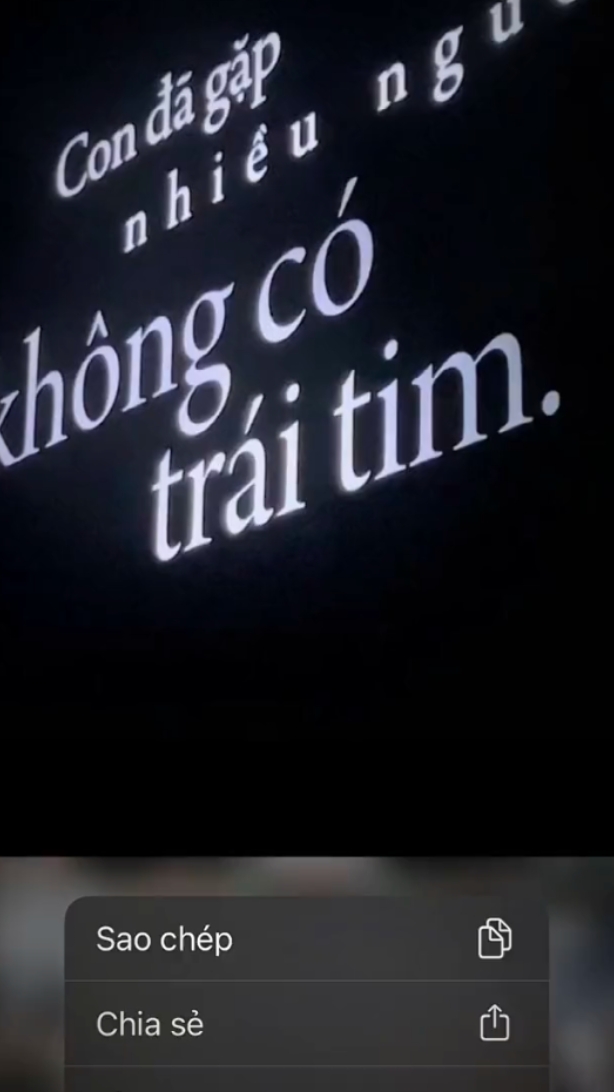 con đã gặp nhiều 
