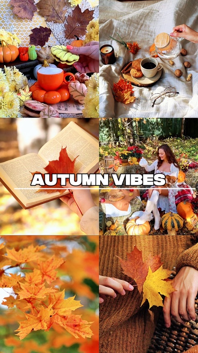 Ambiance d'automne