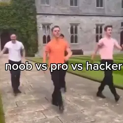 noob vs pro vshacker